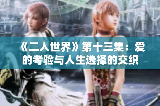 《二人世界》第十三集：爱的考验与人生选择的交织