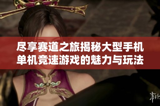 尽享赛道之旅揭秘大型手机单机竞速游戏的魅力与玩法