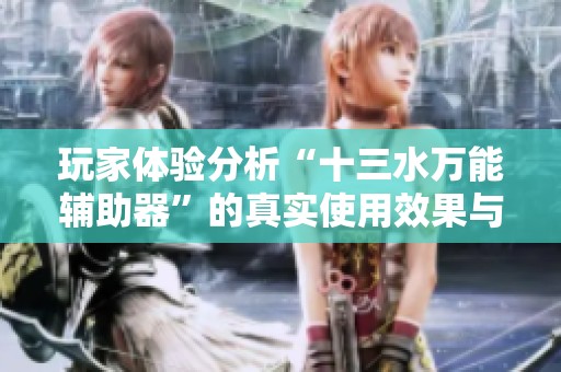 玩家体验分析“十三水万能辅助器”的真实使用效果与风险评估