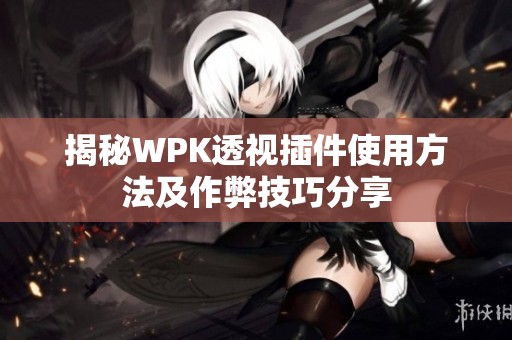 揭秘WPK透视插件使用方法及作弊技巧分享