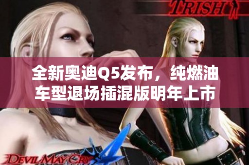 全新奥迪Q5发布，纯燃油车型退场插混版明年上市