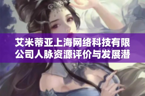 艾米蒂亚上海网络科技有限公司人脉资源评价与发展潜力分析