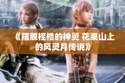 《摆脱桎梏的神灵 花果山上的风灵月传说》