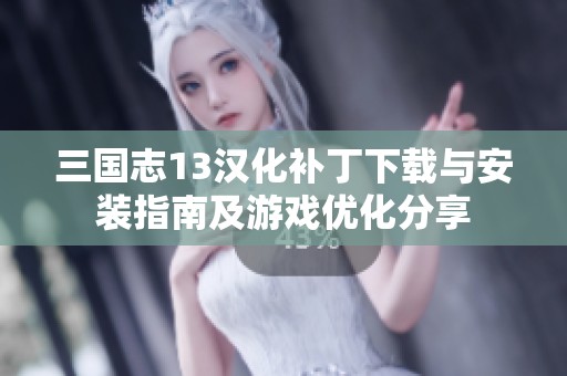 三国志13汉化补丁下载与安装指南及游戏优化分享