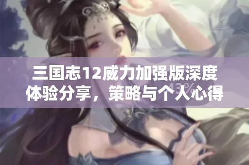 三国志12威力加强版深度体验分享，策略与个人心得解析