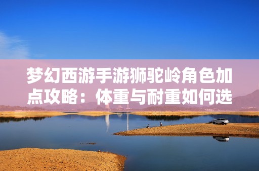 梦幻西游手游狮驼岭角色加点攻略：体重与耐重如何选择