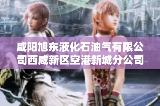 咸阳旭东液化石油气有限公司西咸新区空港新城分公司简介与发展前景分析