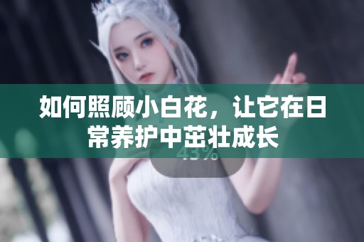如何照顾小白花，让它在日常养护中茁壮成长