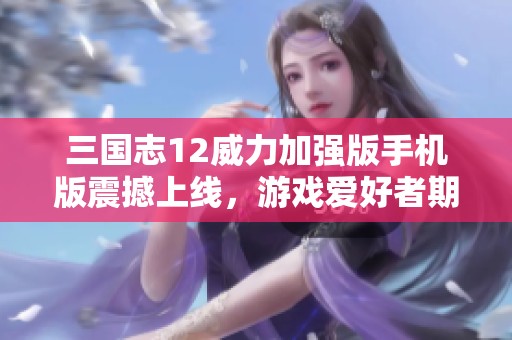 三国志12威力加强版手机版震撼上线，游戏爱好者期待不已