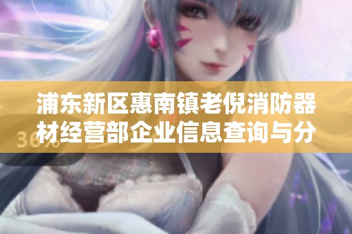 浦东新区惠南镇老倪消防器材经营部企业信息查询与分析