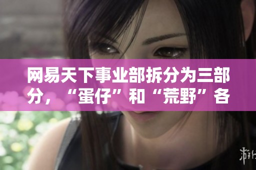 网易天下事业部拆分为三部分，“蛋仔”和“荒野”各自升级为独立事业部