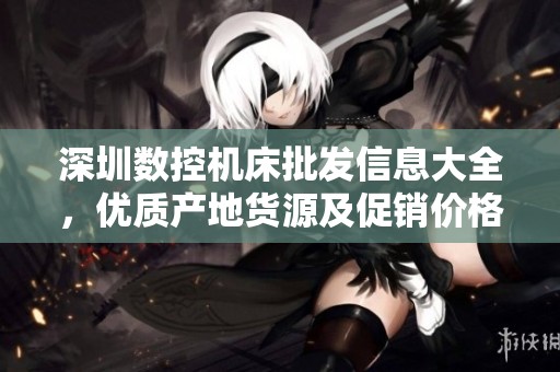 深圳数控机床批发信息大全，优质产地货源及促销价格解析