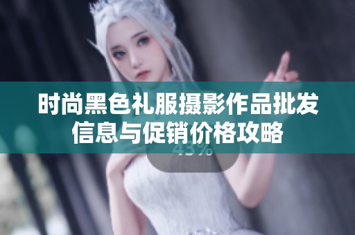 时尚黑色礼服摄影作品批发信息与促销价格攻略