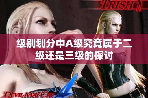 级别划分中A级究竟属于二级还是三级的探讨