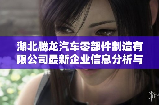 湖北腾龙汽车零部件制造有限公司最新企业信息分析与发展前景探讨