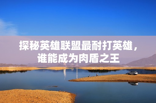 探秘英雄联盟最耐打英雄，谁能成为肉盾之王