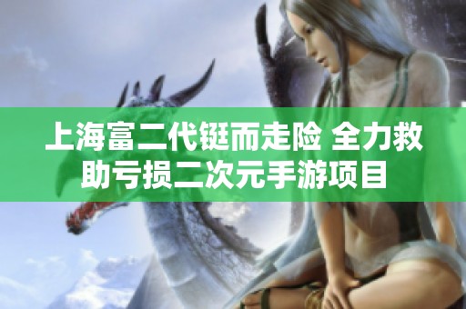 上海富二代铤而走险 全力救助亏损二次元手游项目