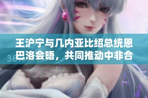 王沪宁与几内亚比绍总统恩巴洛会晤，共同推动中非合作发展
