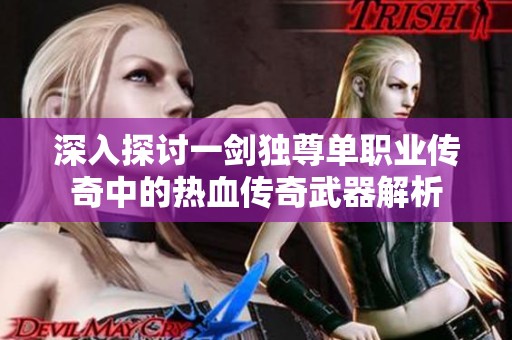 深入探讨一剑独尊单职业传奇中的热血传奇武器解析