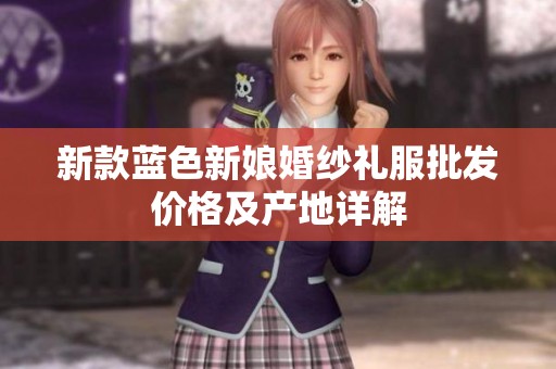 新款蓝色新娘婚纱礼服批发价格及产地详解