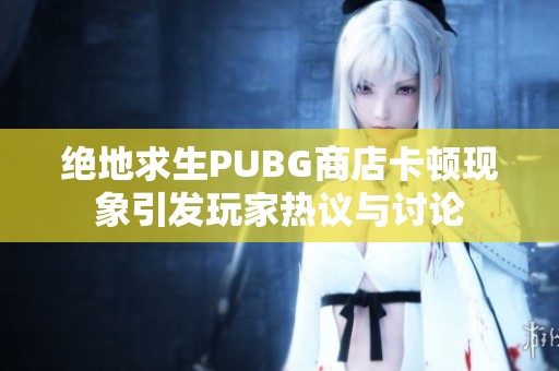 绝地求生PUBG商店卡顿现象引发玩家热议与讨论