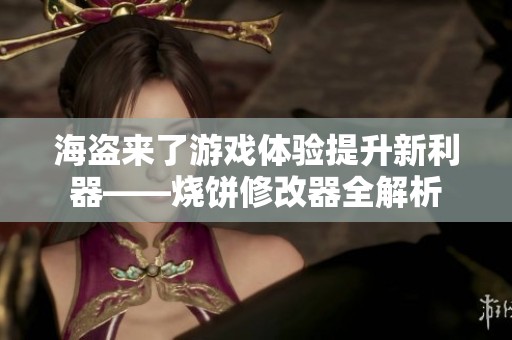 海盗来了游戏体验提升新利器——烧饼修改器全解析