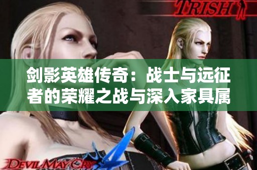 剑影英雄传奇：战士与远征者的荣耀之战与深入家具属性分析
