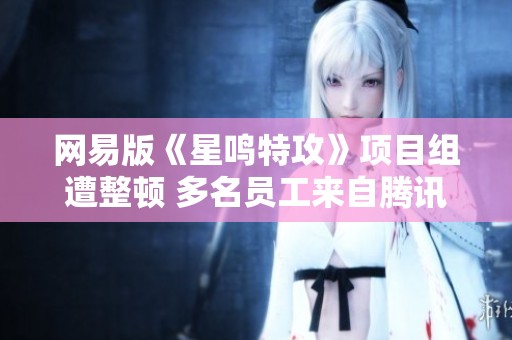 网易版《星鸣特攻》项目组遭整顿 多名员工来自腾讯重组背景