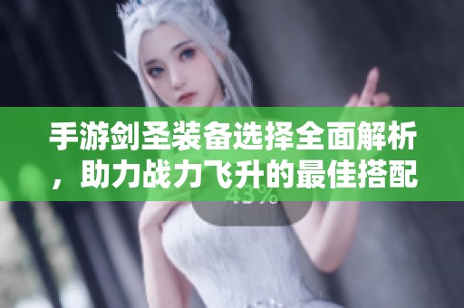 手游剑圣装备选择全面解析，助力战力飞升的最佳搭配指南