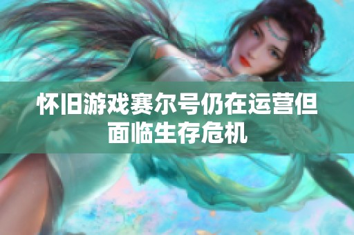 怀旧游戏赛尔号仍在运营但面临生存危机