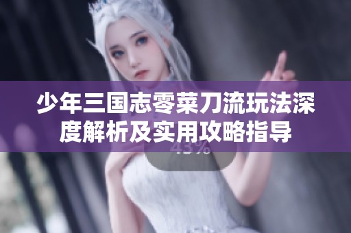 少年三国志零菜刀流玩法深度解析及实用攻略指导