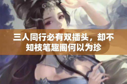 三人同行必有双插头，却不知枝笔趣阁何以为珍