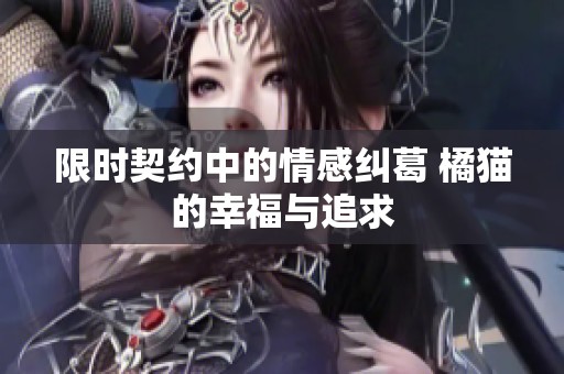 限时契约中的情感纠葛 橘猫的幸福与追求
