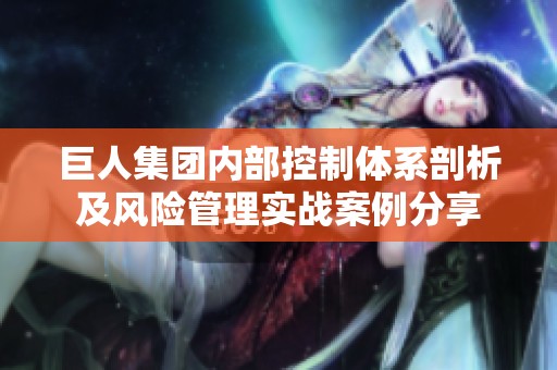 巨人集团内部控制体系剖析及风险管理实战案例分享