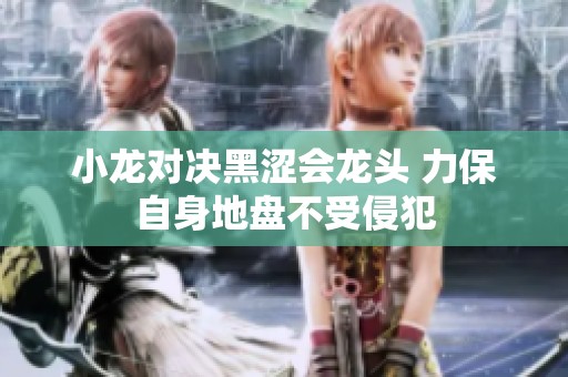 小龙对决黑涩会龙头 力保自身地盘不受侵犯