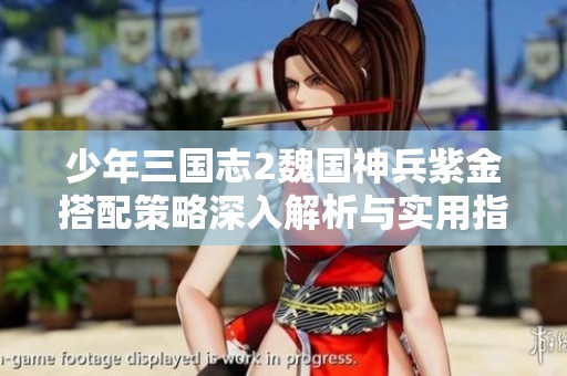 少年三国志2魏国神兵紫金搭配策略深入解析与实用指南