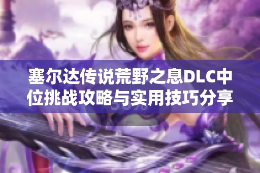 塞尔达传说荒野之息DLC中位挑战攻略与实用技巧分享
