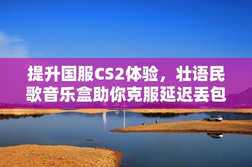 提升国服CS2体验，壮语民歌音乐盒助你克服延迟丢包问题