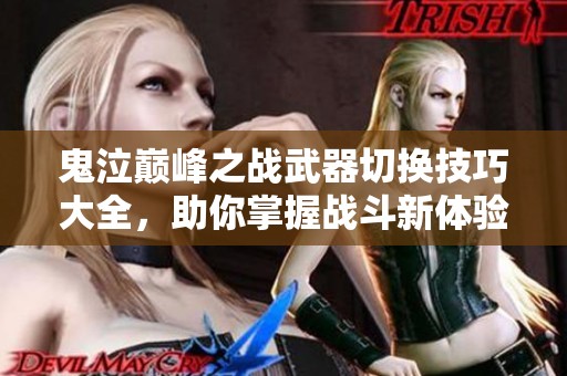 鬼泣巅峰之战武器切换技巧大全，助你掌握战斗新体验