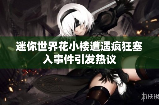 迷你世界花小楼遭遇疯狂塞入事件引发热议