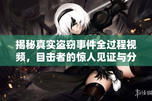 揭秘真实盗窃事件全过程视频，目击者的惊人见证与分析