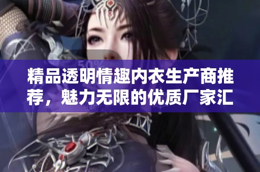 精品透明情趣内衣生产商推荐，魅力无限的优质厂家汇总