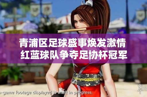 青浦区足球盛事焕发激情 红蓝球队争夺足协杯冠军