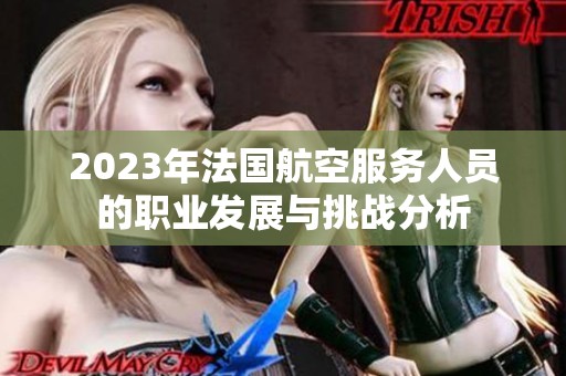 2023年法国航空服务人员的职业发展与挑战分析