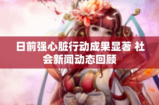 日前强心脏行动成果显著 社会新闻动态回顾