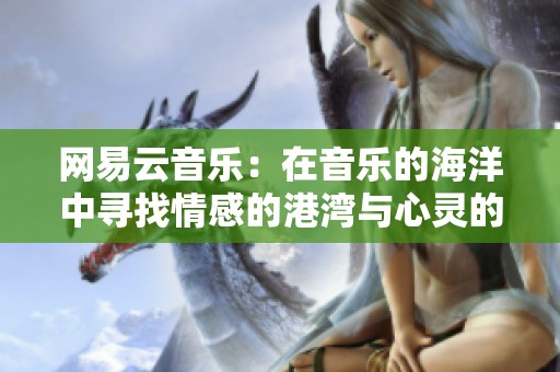 网易云音乐：在音乐的海洋中寻找情感的港湾与心灵的共鸣