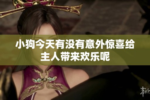 小狗今天有没有意外惊喜给主人带来欢乐呢