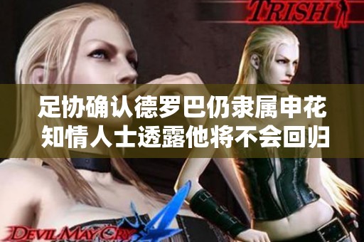 足协确认德罗巴仍隶属申花 知情人士透露他将不会回归