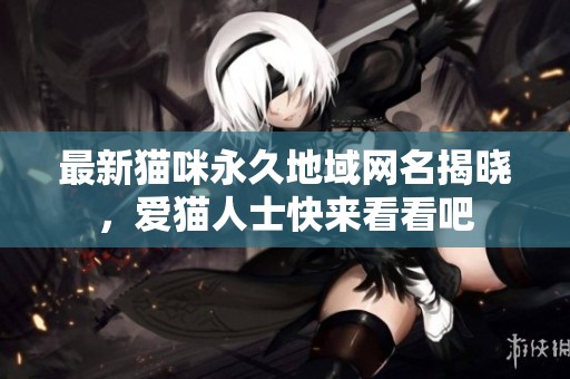 最新猫咪永久地域网名揭晓，爱猫人士快来看看吧