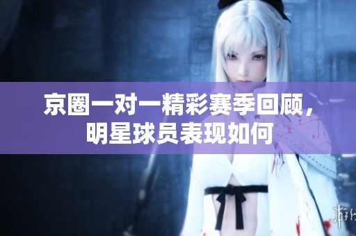 京圈一对一精彩赛季回顾，明星球员表现如何
